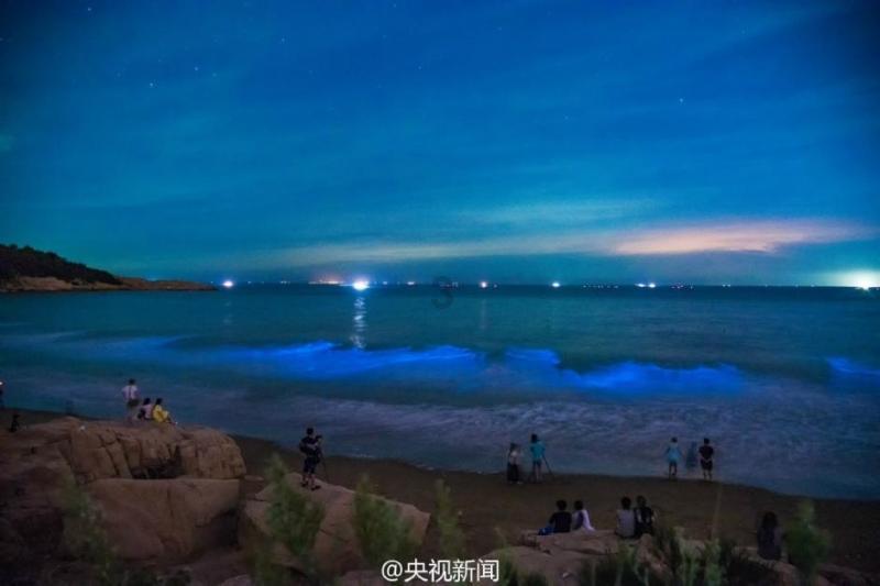 自由幻想