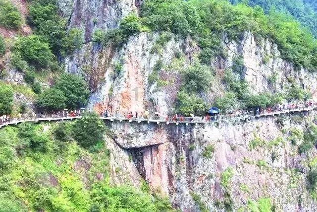 一景九田农庄:回归自然,寻得本真
