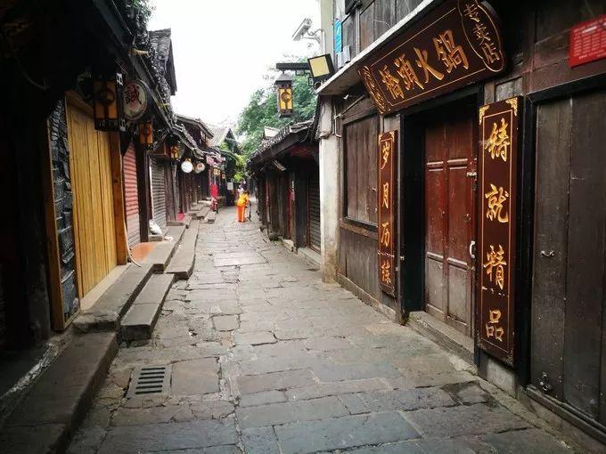 柯基换主人后老是不开心怎么回事？游戏画面